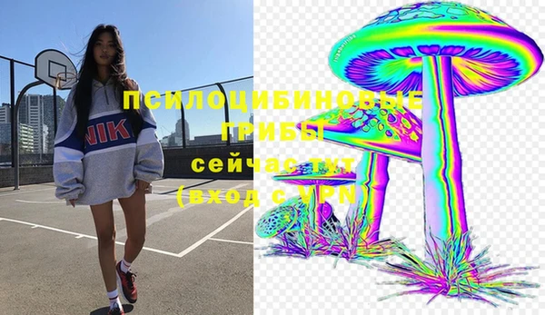 тгк Беломорск