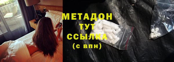 шишки Ельня