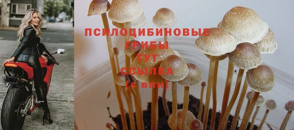 мет Белоозёрский