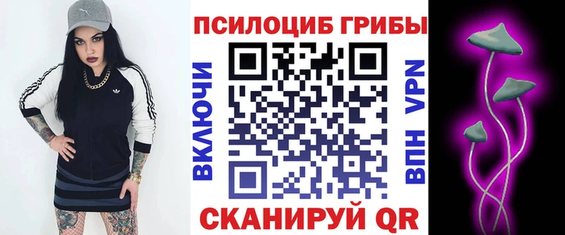 Псилоцибиновые грибы GOLDEN TEACHER  мориарти официальный сайт  Железноводск 